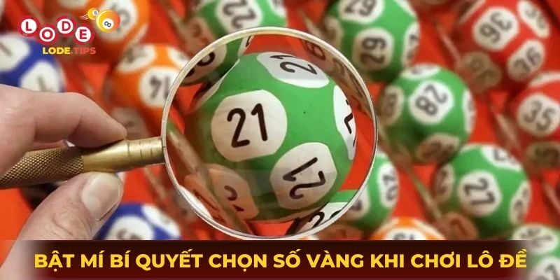 Bật mí bí quyết chọn số vàng khi chơi lô đề tại Sin88